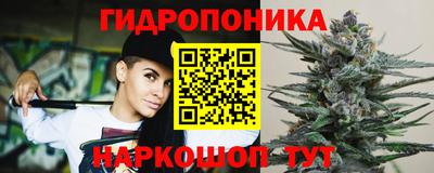 apvp Новозыбков