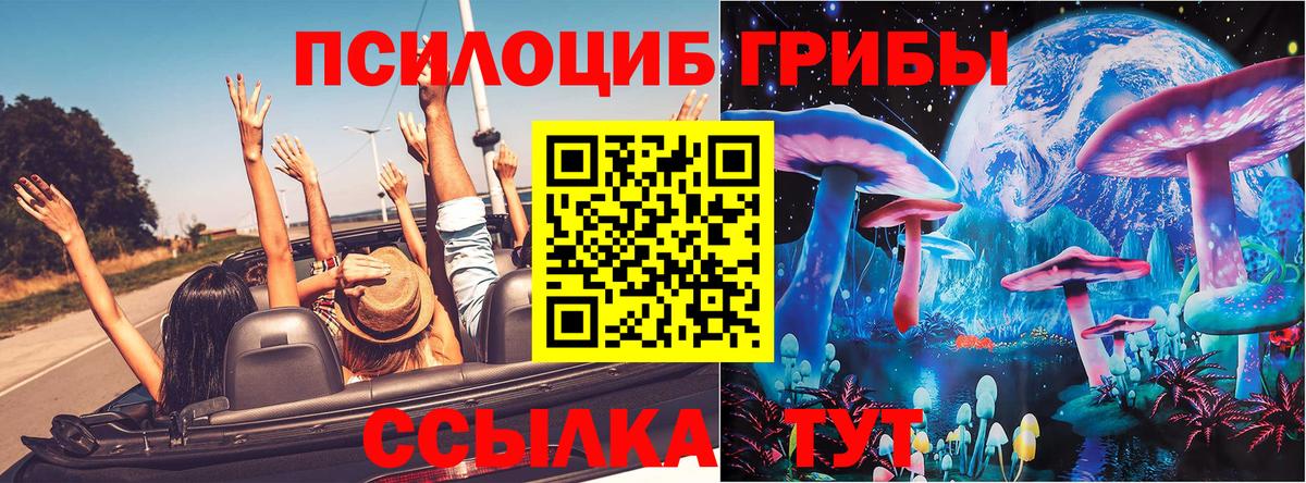 Псилоцибиновые грибы GOLDEN TEACHER  Вход с VPN  Пушкино 
