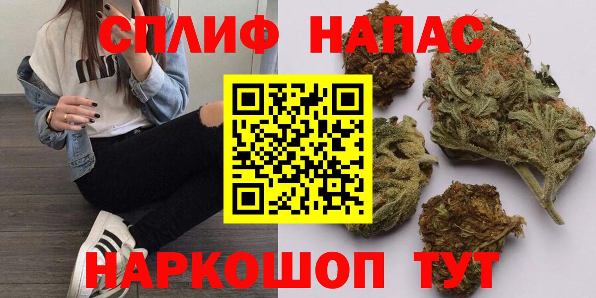 Бошки марихуана планчик  Шишки марихуана сатива  Каннабис план  Пушкино  Вход с VPN 